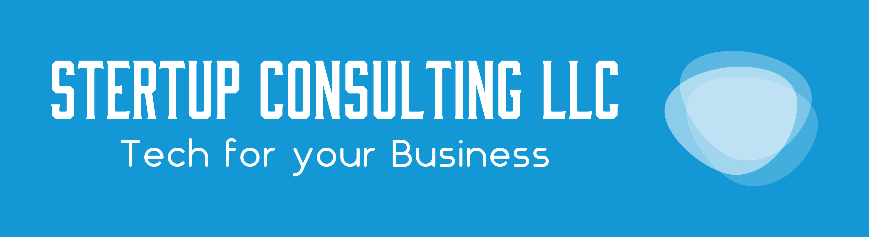 Stertup Consulting LLC Logo
